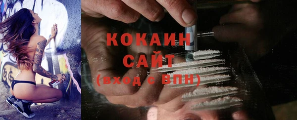 амф Новозыбков
