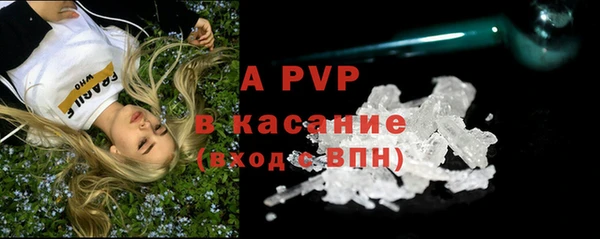 амф Новозыбков