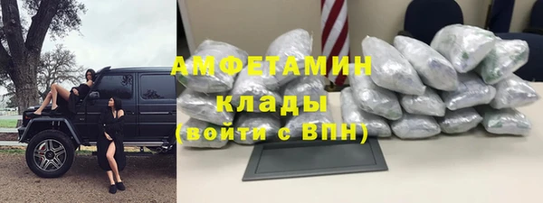 амф Новозыбков