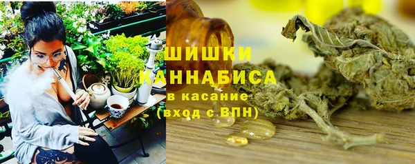 мдма Новодвинск
