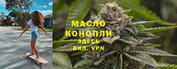 амф Новозыбков