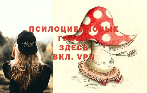 амф Новозыбков