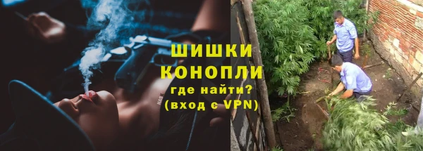 амф Новозыбков