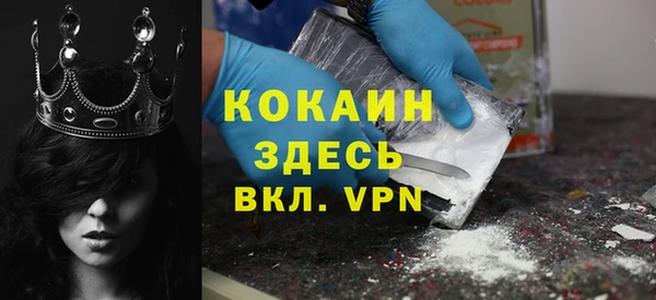амф Новозыбков