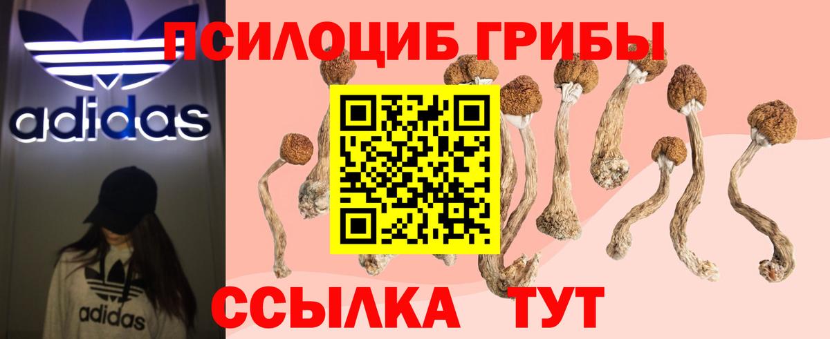 Псилоцибиновые грибы MAGIC MUSHROOMS  Вход с VPN  Хабаровск 